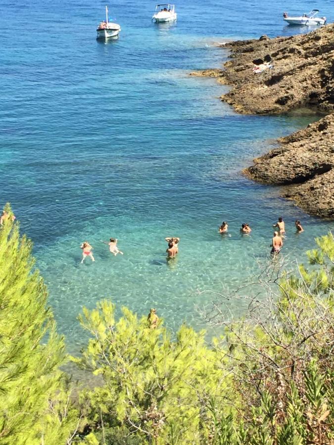 Studio Rocher Bleu Pres Des Plages - Soleil Levant 拉西约塔 外观 照片